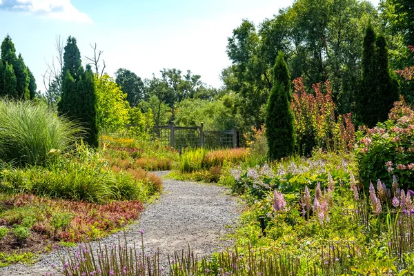 Chemin Travers Jardin Tranquille Soigné — Photo