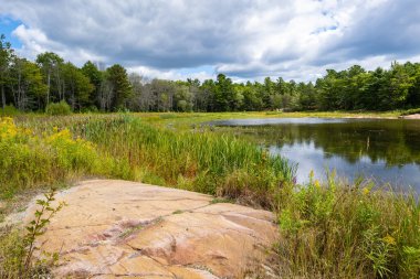 Ontario 'daki Killarney İl Parkı' nda Sakin ve Sakin Bir Sahne
