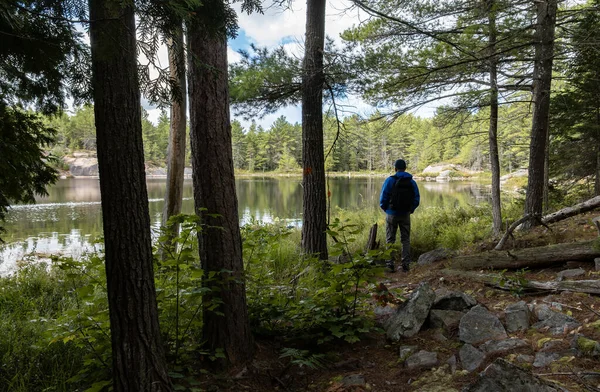 Ontario Nehri 'nde Moira Gölü' ne hayran bir yürüyüşçü.