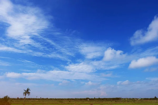 Paisaje Cielo Azul Nubes Con Verde Del Árbol Cocotero Brillante —  Fotos de Stock