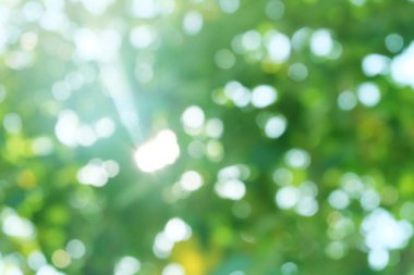 Bulanık yeşil bokeh arkaplanı,