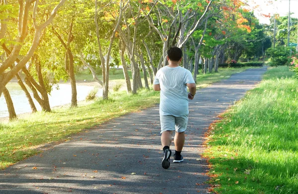Behind the fat man was jogging at the park, lose weight For good health concept