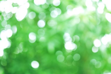 Bulanık bokeh arka plan yeşil renk, Soyut