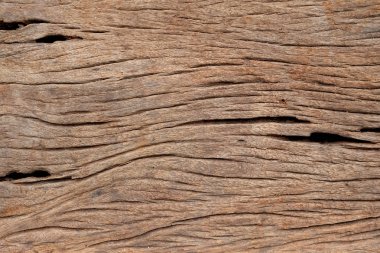 Doku eski kahverengi desen ahşap, vintage soyut arka plan.