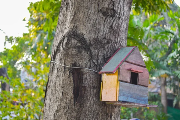 Farbiges Vogelhaus Auf Dem Baum — Stockfoto