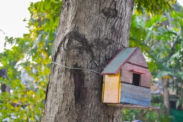 Gekleurde Vogel Huis Boom — Stockfoto