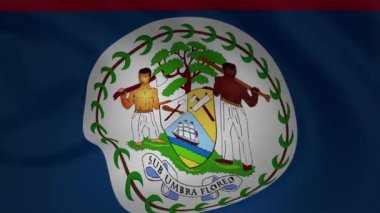 bayrak animasyon Belize arka plan toplama