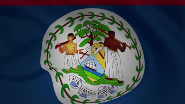 Animazione Della Bandiera Della Collezione Sfondo Belize — Video Stock