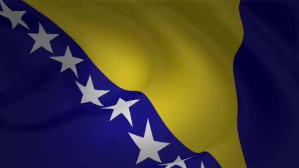 Bendera Bosnia Dan Herzegovina Melambaikan Tangan Dalam Koleksi Animasi Angin — Stok Video