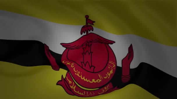 Brunei Flag Waving Wind Animation Collection — Stock Video