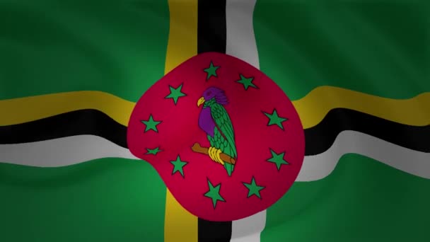 Flag Dominica Waving Wind Animation — Stock Video