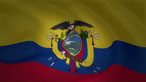 Σημαία Του Ισημερινού Κουνώντας Στην Κίνηση Αέρα — Αρχείο Βίντεο