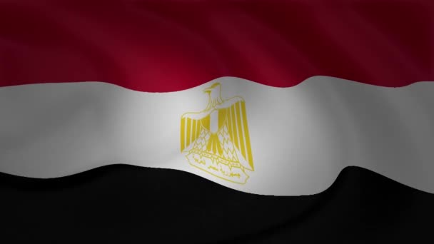 Animering Egypten Flagga Vajande Vinden Samlingen — Stockvideo