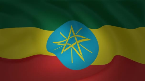 Nahaufnahme Der Äthiopischen Flagge Die Eine Animationssammlung Schwenkt — Stockvideo