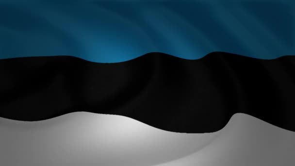 Estland Flagge Nahaufnahme Schwenken Animationssammlung — Stockvideo