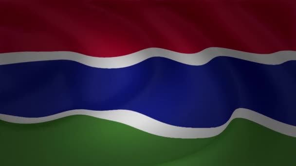 Gambia Vlag Zwaaien Wind Animatie Collectie — Stockvideo