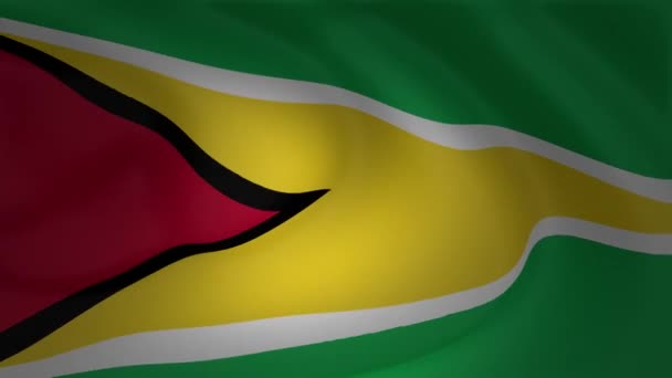 Guyana Flagge Nahaufnahme Winkt Animationssammlung — Stockvideo