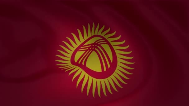 Uma Bela Animação Bandeira Cetim Coleção Quirguistão — Vídeo de Stock