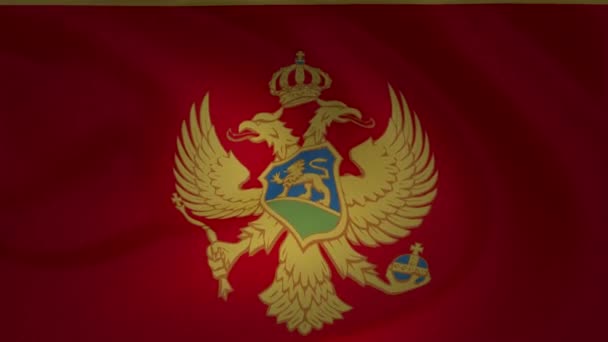Чорногорія Прапор Махав Вітрі Повільному Колекції — стокове відео