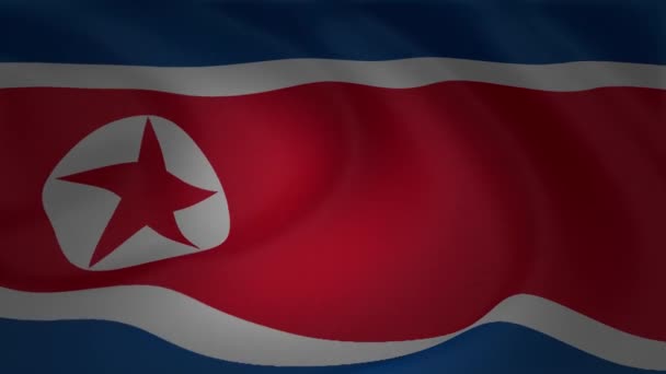 Die Nordkoreanische Flagge Ist Eine Nationale Symbolsammlung — Stockvideo