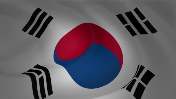 Drapeau Corée Sud Coulant Dans Collection Vent — Video