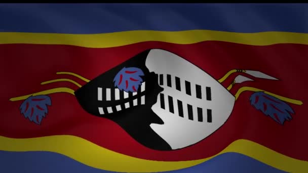 Lassú Mozgás Zászló Szváziföld Gyűjtemény — Stock videók
