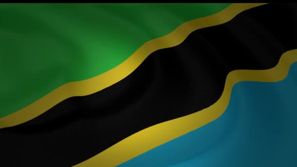 Movimiento Lento Bandera Colección Tanzania — Vídeos de Stock