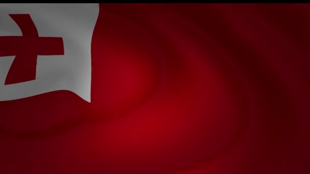 Κινούμενα Σχέδια Μιας Συλλογής Closeup Σημαία Τόνγκα — Αρχείο Βίντεο