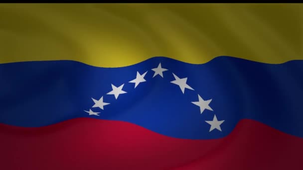 Animación Colección Ondeando Bandera Nacional Venezuela — Vídeo de stock
