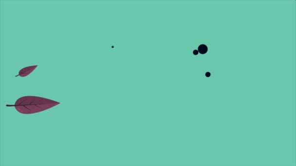 Höstlöv Med Animation Bakgrund Stil Insamling — Stockvideo