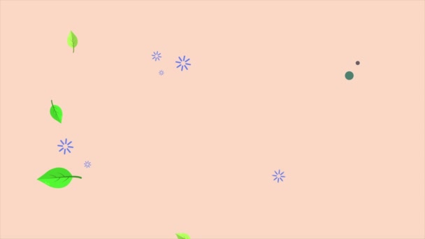 Otoño Temporada Hermosas Hojas Colección Animación — Vídeo de stock