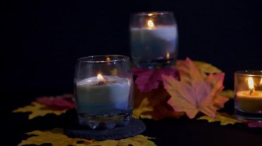 Animasyon koleksiyonu Halloween prop mum ve akçaağaç