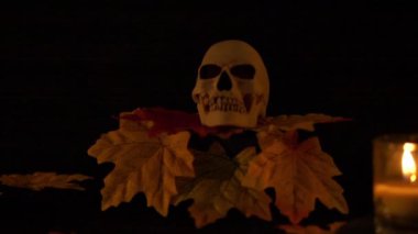 Halloween prop skul ve siyah arka plan animasyon koleksiyonu mum