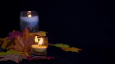 Animasyon koleksiyonu Halloween prop mum ve akçaağaç