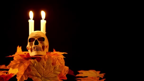 Halloween Prop Skul Vela Sobre Fondo Negro Colección Animación — Vídeo de stock