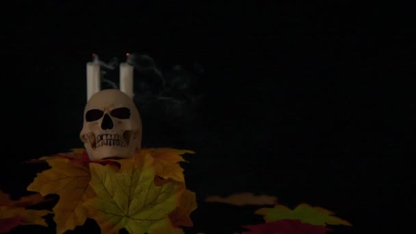 Halloween Prop Péter Gyertyát Fekete Háttér Animáció Gyűjtemény — Stock videók