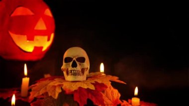 Cadılar Bayramı pervane animasyon koleksiyonu ile korku