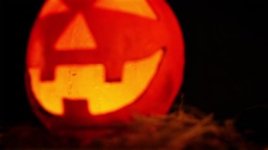 Cadılar Bayramı Günü teması ile animasyon lentern kabak toplama