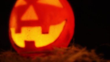 Cadılar Bayramı Günü teması ile animasyon lentern kabak toplama