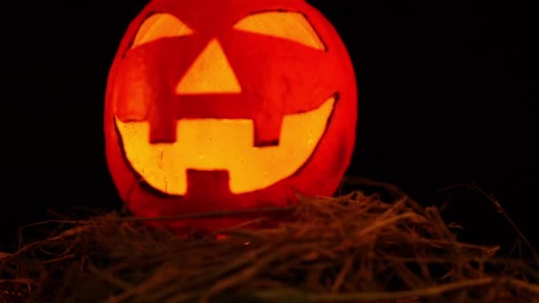 Halloween Dzień Tematu Kolekcji Lentern Dyni Animowane — Wideo stockowe