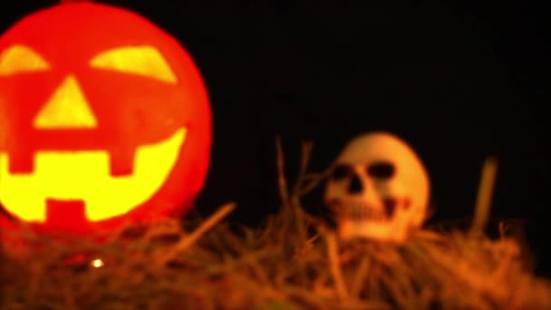 Happy Halloween Dag Animation Med Pumpa Lentern Samling — Stockvideo