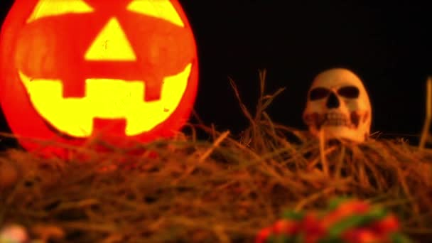 Happy Halloween Dag Animation Med Pumpa Lentern Samling — Stockvideo