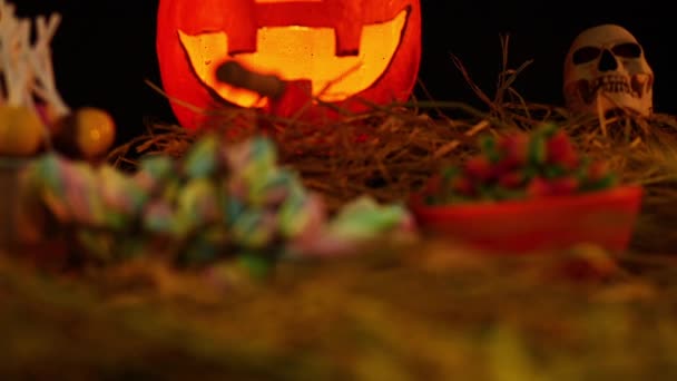 Animerade Halloween Tema Med Prop Samling — Stockvideo