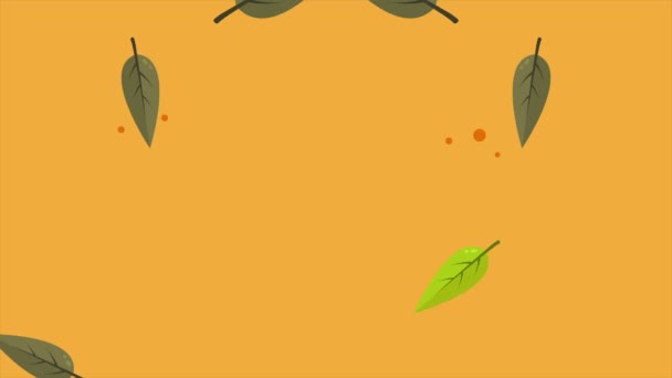 Día Otoño Con Colección Animación Estilo Hoja — Vídeos de Stock