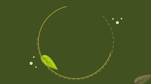 Vackra Höst Dauy Med Leaf Animation Collection — Stockvideo