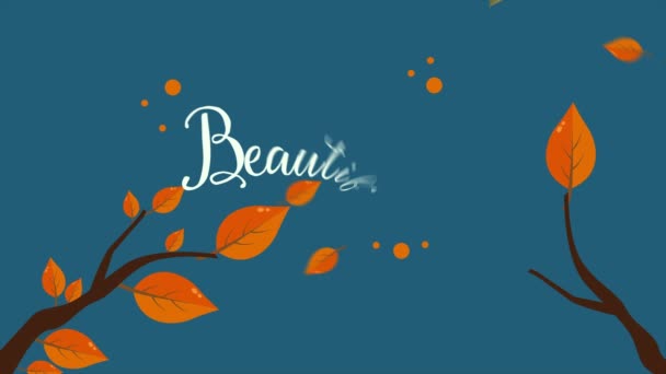 Belles Feuilles Automne Jour Images Fond Collection — Video