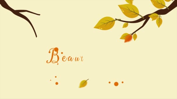 Sbírku Záběry Podzimní Den Pozadím Krásné Listové — Stock video