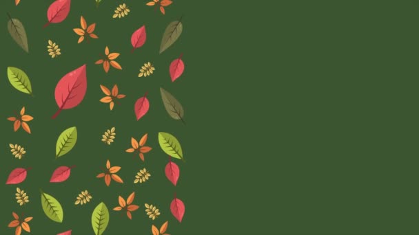秋季日主题素材样式背景收藏 — 图库视频影像