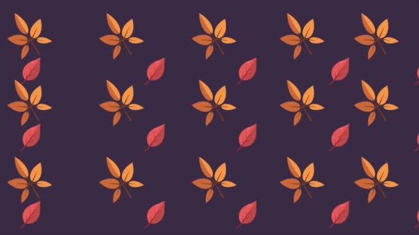 Кленовые Листья Осенний День Коллекции Фона — стоковое видео