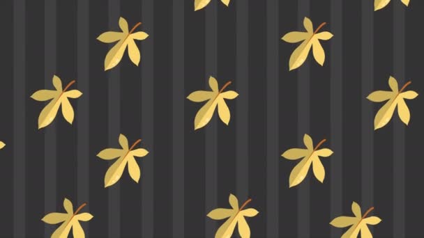 秋の日とメープルの葉アニメ コレクション — ストック動画